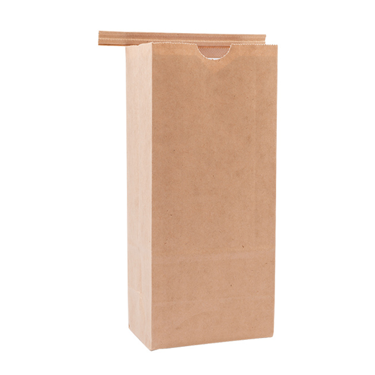 Poly Liner Paper Bags